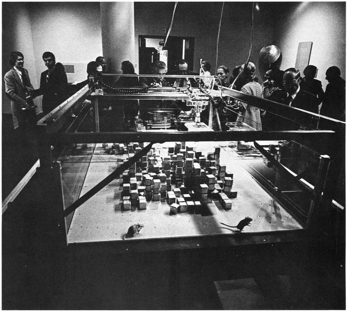 The 1970 experiment SEEK by the Architecture Machine Group. Photo from the catalog of the exhibition SOFTWARE at the New York Jewish Museum.