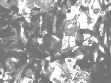 Still from The Biscuit Song (Inkblot #11) by Luther Price
