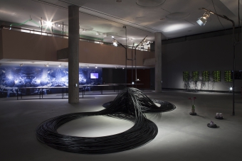 "alien matter", transmediale special exhibition 2017