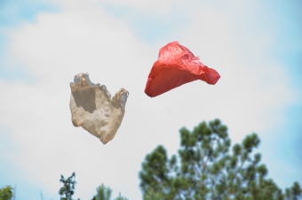 Ramin Bahrani – Plastic Bag, 2009