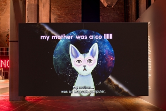 Pinar Yoldas – Artificial Intelligence for Governance, the Kitty AI, 2016