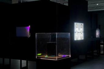 "5 Million Dollars 1 Terabyte" by Art 404, transmediale 2012 in/compatible.