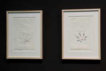 "Leaves" by Sture Johannesson, transmediale 2012 in/compatible.