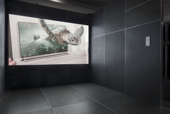 Europium by Lisa Rave, shown in the exhibitions "Territories of Complicity" at transmediale 2018 face value.