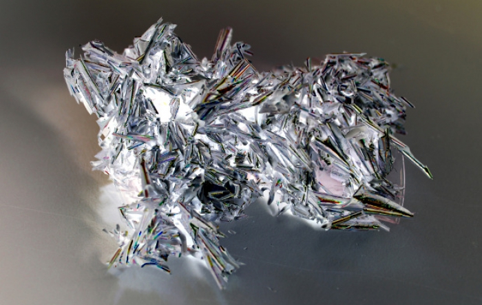 Rosemary Lee, Molten Media 