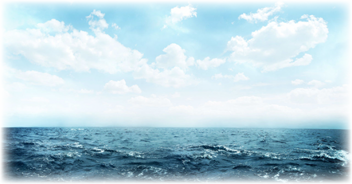 Demystification Committee: Offshore Investigation Vehicle