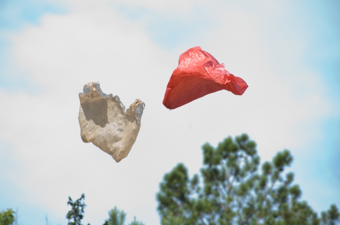 Ramin Bahrani – Plastic Bag, 2009