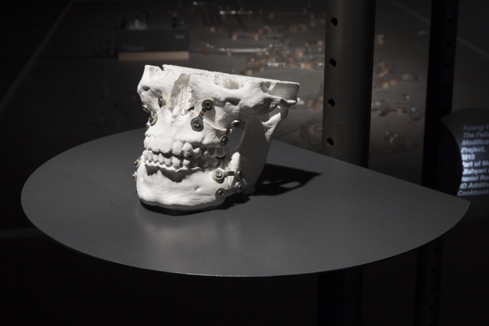The Fellatio Modification Project by Kuang-Yi Ku (part of The 3D Additivist Cookbook) at the exhibition "alien matter", transmediale 2017.