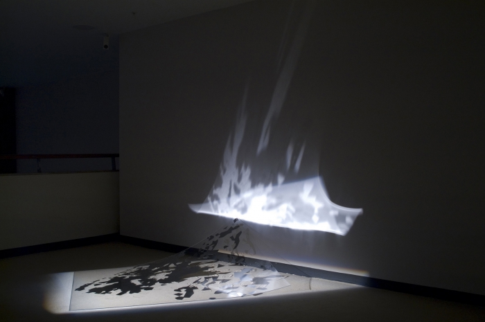 Lumina by Ursula Berlot, exhibited at transmediale 2008.