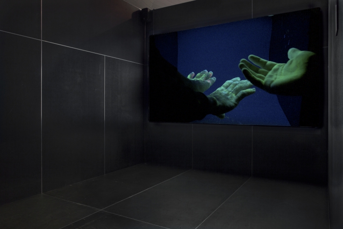 Europium by Lisa Rave, shown in the exhibitions "Territories of Complicity" at transmediale 2018 face value.